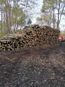 WhatsApp Image 2021-05-27 at 09.42.35 (2).jpeg